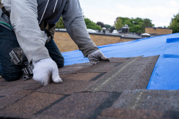 Best Roof Waterproofing Services  in Pleak, TX